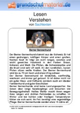 Berner Sennenhund.pdf
